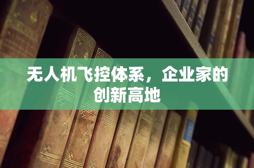 无人机飞控体系，企业家的创新高地