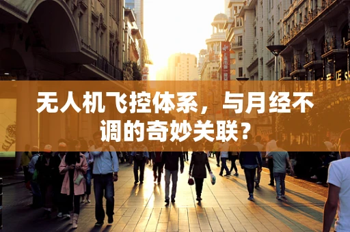 无人机飞控体系，与月经不调的奇妙关联？