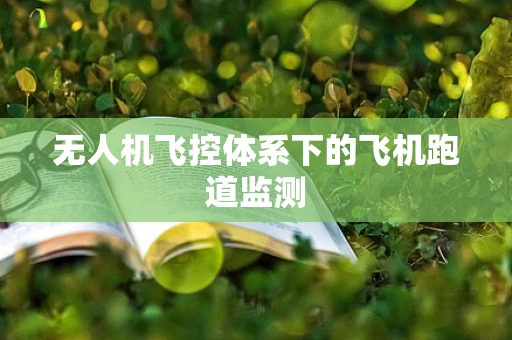 无人机飞控体系下的飞机跑道监测