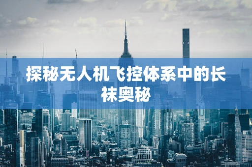 探秘无人机飞控体系中的长袜奥秘