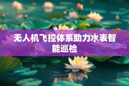 无人机飞控体系助力水表智能巡检
