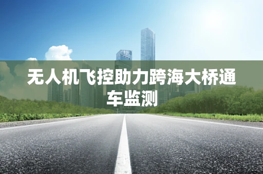 无人机飞控助力跨海大桥通车监测