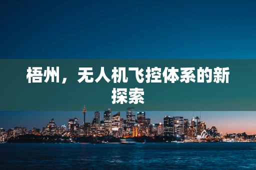 梧州，无人机飞控体系的新探索