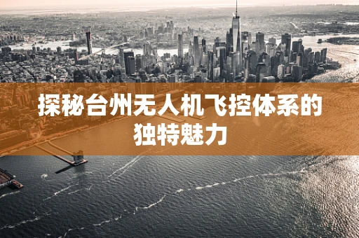 探秘台州无人机飞控体系的独特魅力