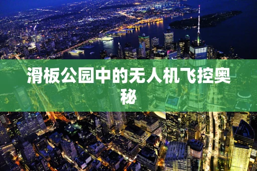 滑板公园中的无人机飞控奥秘