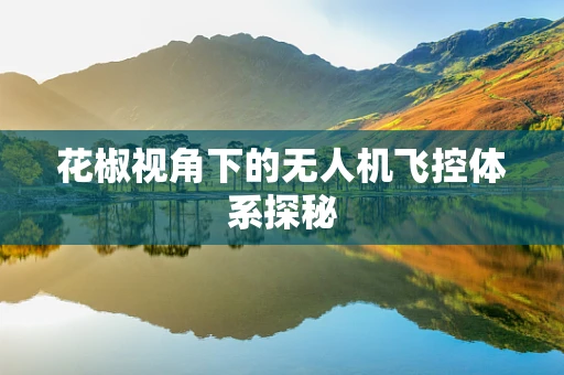 花椒视角下的无人机飞控体系探秘
