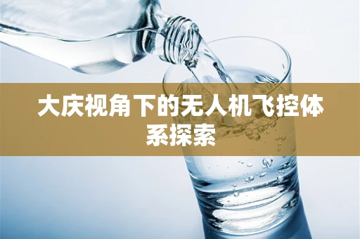 大庆视角下的无人机飞控体系探索