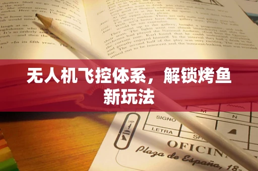 无人机飞控体系，解锁烤鱼新玩法