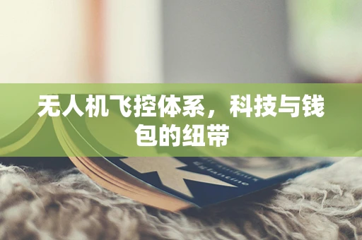 无人机飞控体系，科技与钱包的纽带