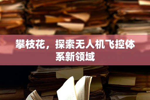 攀枝花，探索无人机飞控体系新领域