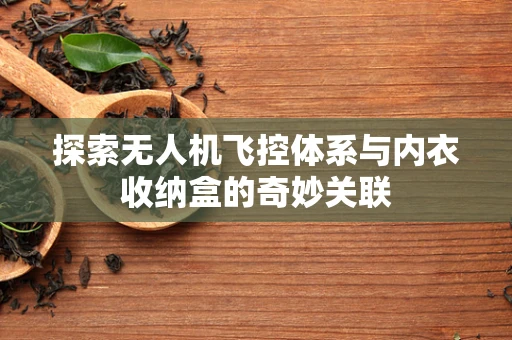 探索无人机飞控体系与内衣收纳盒的奇妙关联