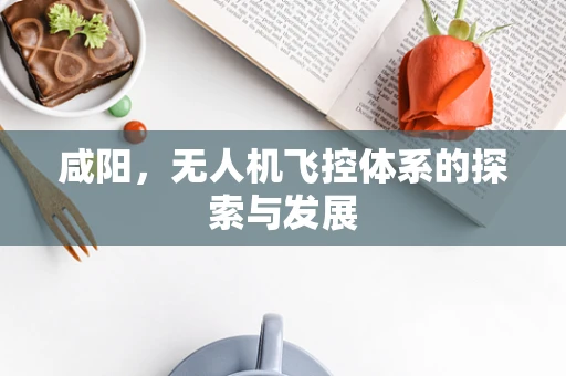 咸阳，无人机飞控体系的探索与发展