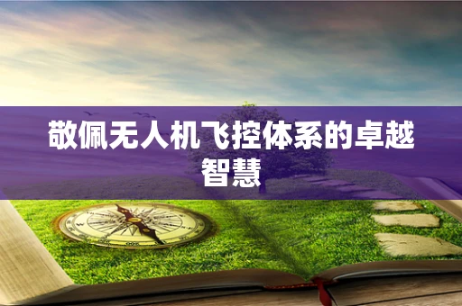 敬佩无人机飞控体系的卓越智慧