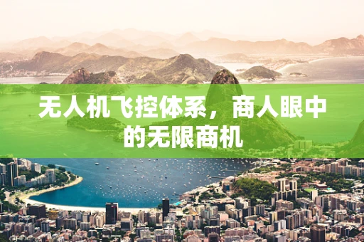 无人机飞控体系，商人眼中的无限商机