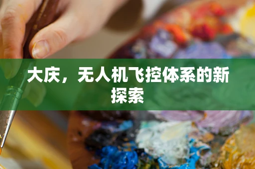 大庆，无人机飞控体系的新探索