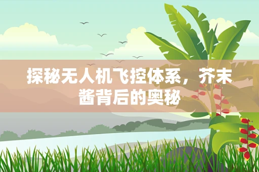 探秘无人机飞控体系，芥末酱背后的奥秘