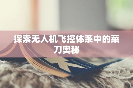探索无人机飞控体系中的菜刀奥秘