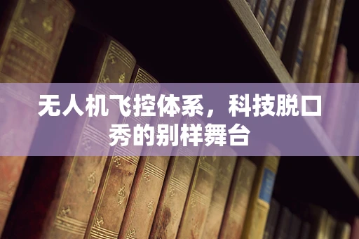 无人机飞控体系，科技脱口秀的别样舞台