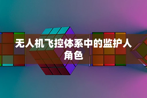 无人机飞控体系中的监护人角色