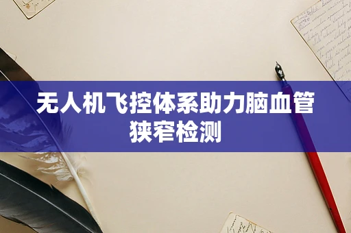 无人机飞控体系助力脑血管狭窄检测