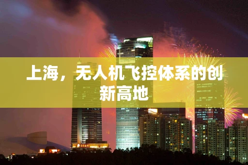 上海，无人机飞控体系的创新高地
