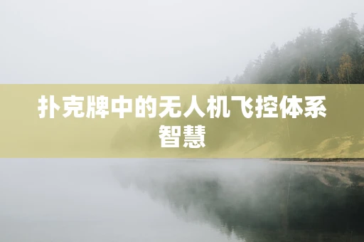 扑克牌中的无人机飞控体系智慧