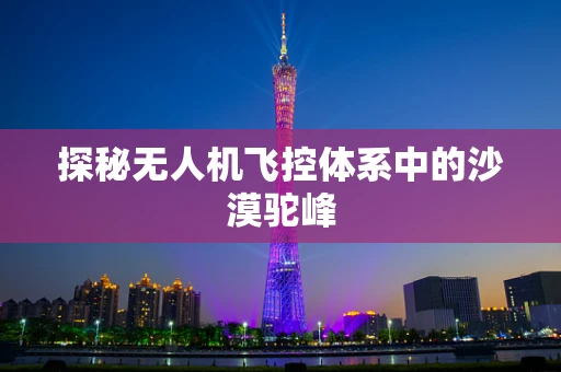 探秘无人机飞控体系中的沙漠驼峰