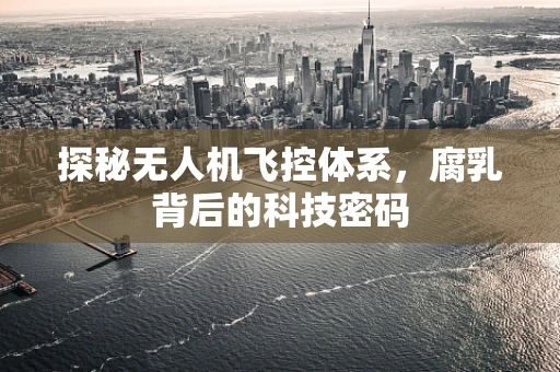 探秘无人机飞控体系，腐乳背后的科技密码