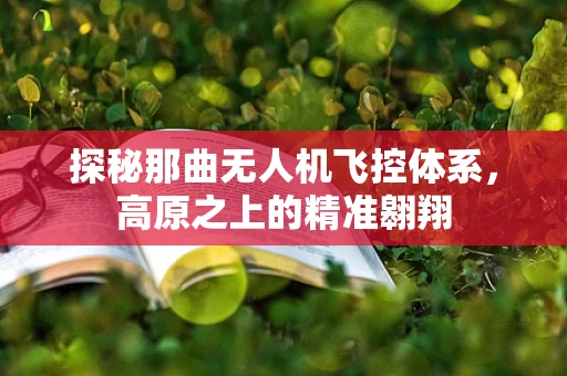 探秘那曲无人机飞控体系，高原之上的精准翱翔