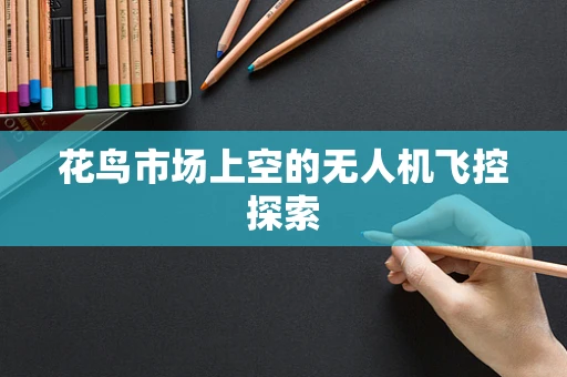 花鸟市场上空的无人机飞控探索