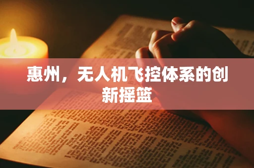 惠州，无人机飞控体系的创新摇篮