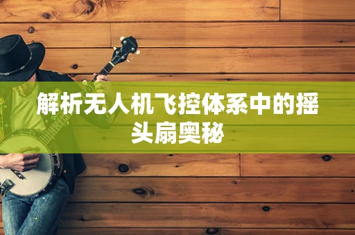 解析无人机飞控体系中的摇头扇奥秘