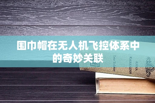 围巾帽在无人机飞控体系中的奇妙关联
