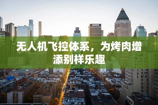 无人机飞控体系，为烤肉增添别样乐趣