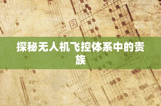 探秘无人机飞控体系中的贵族