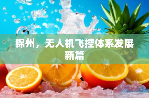 锦州，无人机飞控体系发展新篇