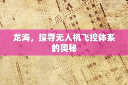龙海，探寻无人机飞控体系的奥秘