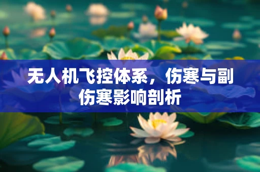 无人机飞控体系，伤寒与副伤寒影响剖析