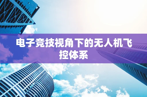 电子竞技视角下的无人机飞控体系