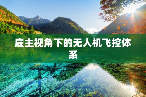 雇主视角下的无人机飞控体系