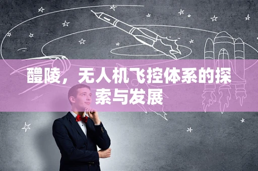 醴陵，无人机飞控体系的探索与发展