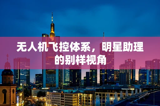 无人机飞控体系，明星助理的别样视角