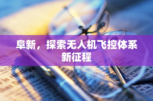 阜新，探索无人机飞控体系新征程
