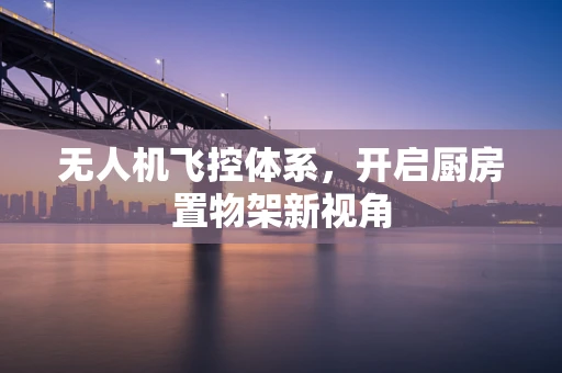 无人机飞控体系，开启厨房置物架新视角