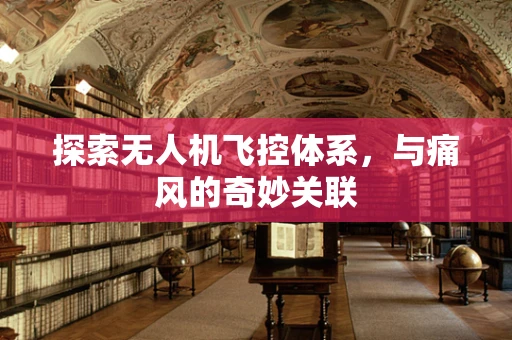 探索无人机飞控体系，与痛风的奇妙关联