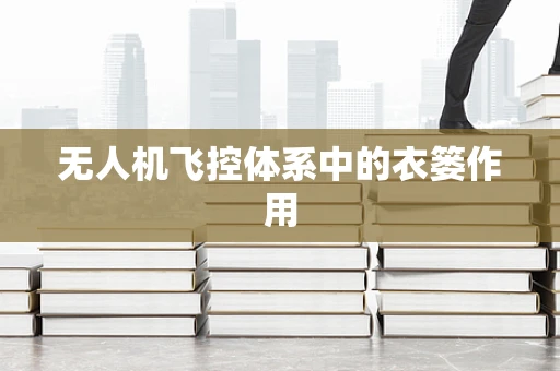 无人机飞控体系中的衣篓作用