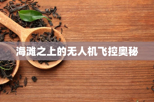 海滩之上的无人机飞控奥秘