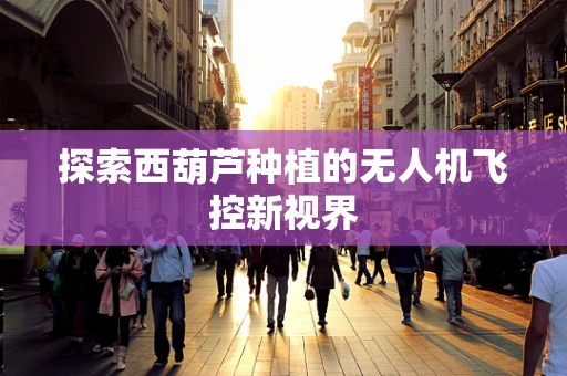探索西葫芦种植的无人机飞控新视界