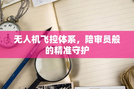 无人机飞控体系，陪审员般的精准守护