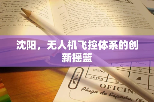 沈阳，无人机飞控体系的创新摇篮